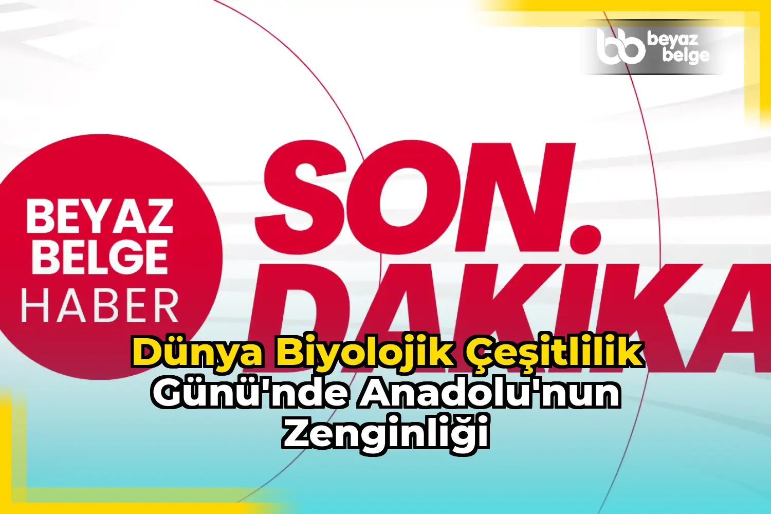 Dünya Biyolojik Çeşitlilik Günü'nde Anadolu'nun Zenginliği