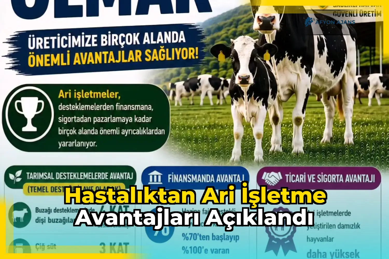 Hastalıktan Ari İşletme Avantajları Açıklandı