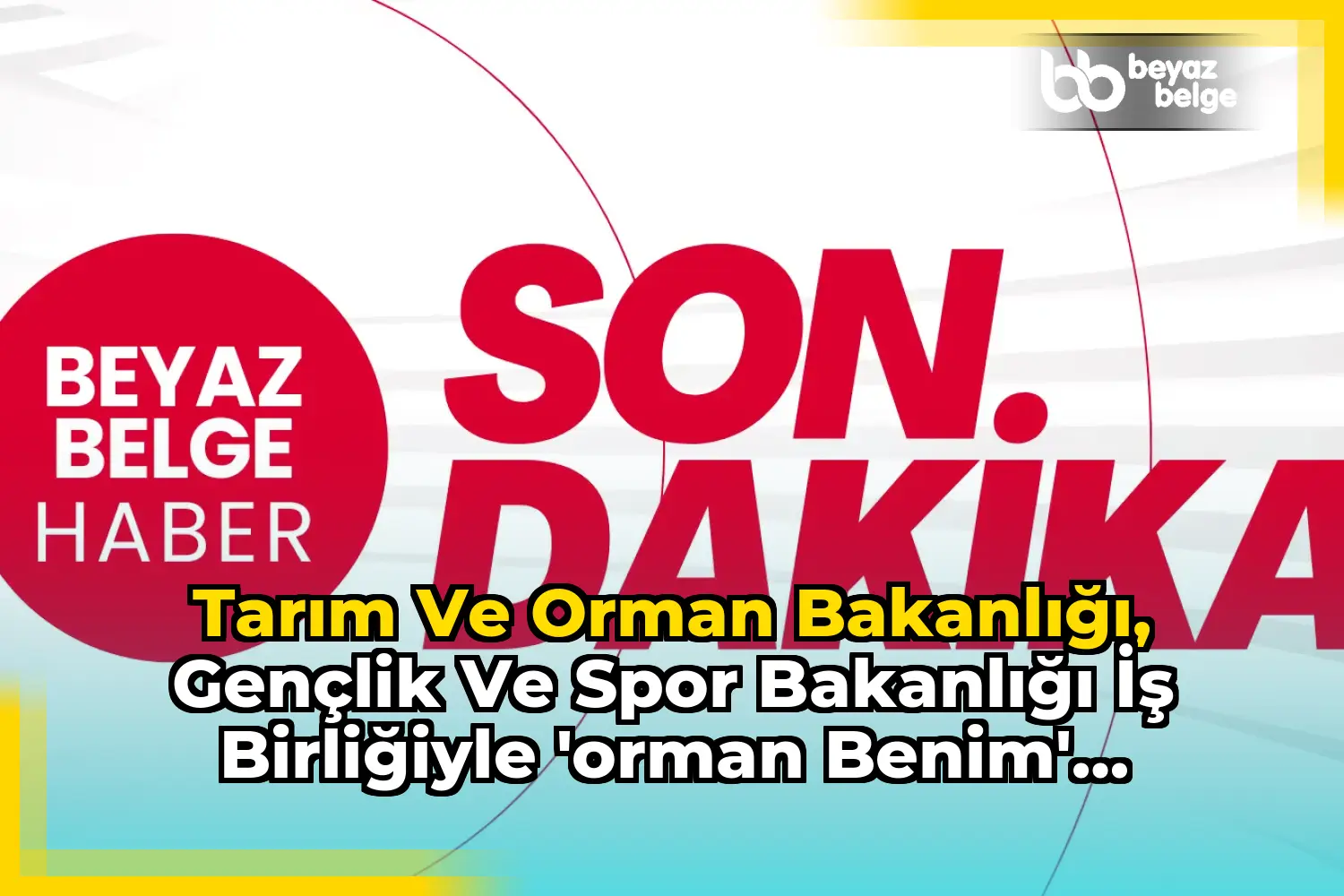 Tarım ve Orman Bakanlığı, Gençlik ve Spor Bakanlığı İş Birliğiyle 'Orman Benim' Projesi Hayata Geçirildi