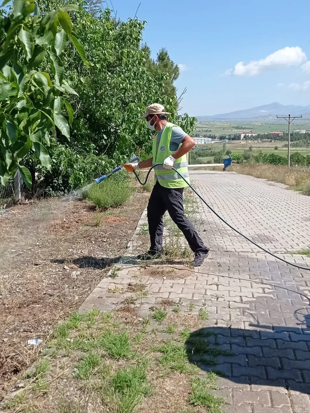 Yeşilova'da Haşere İlaçlama Çalışmaları Devam Ediyor