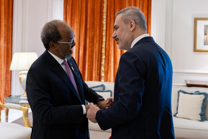 Hakan Fidan, Somali Cumhurbaşkanı ile Görüştü