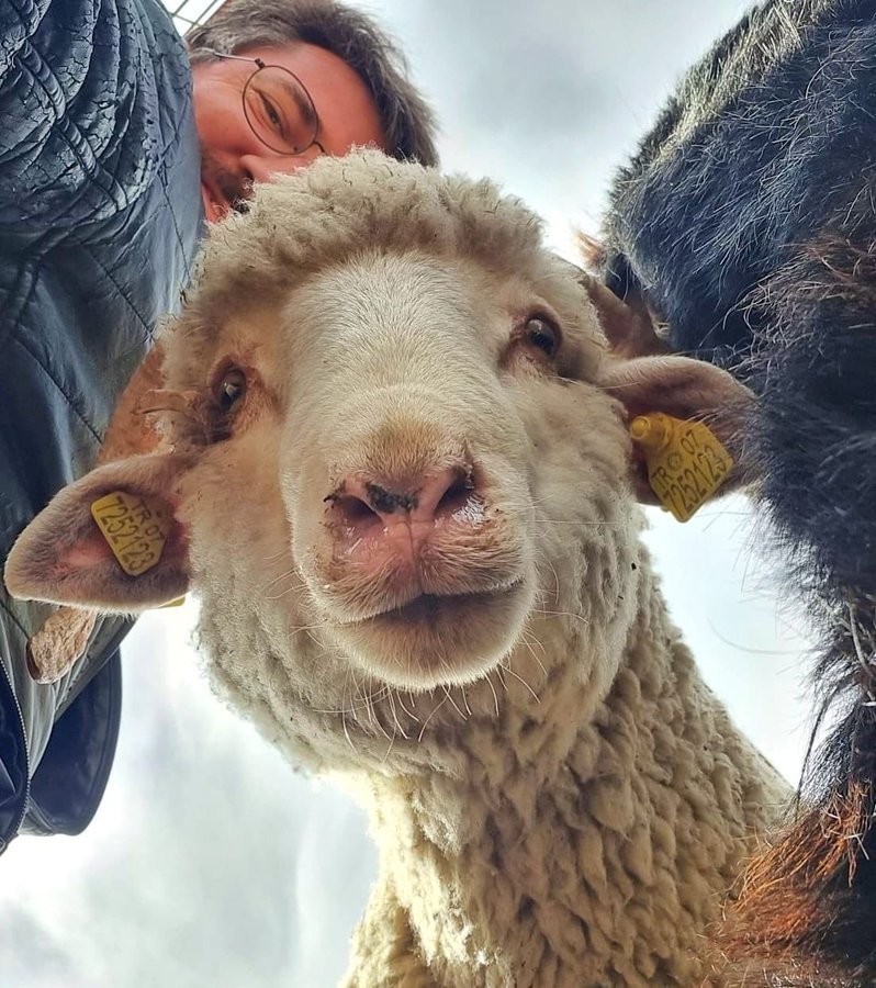 Veteriner Hekimden Israr