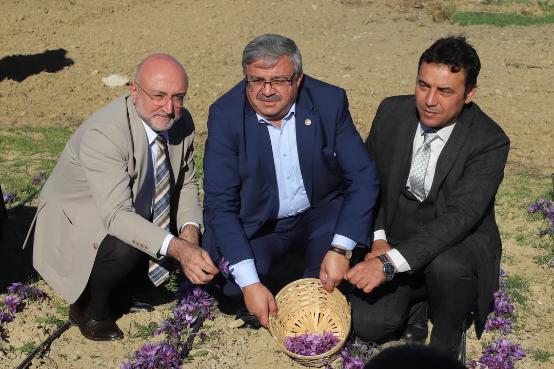 Afyonkarahisar Sağlık Bilimleri Üniversitesi Safran Üretimine Başladı