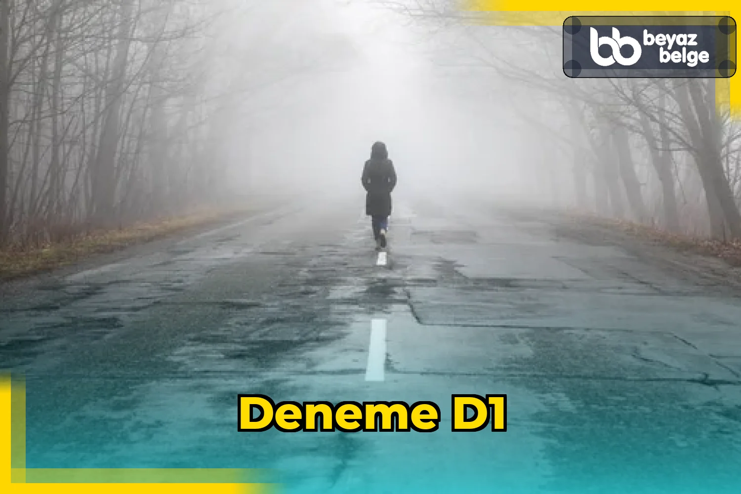 deneme d1