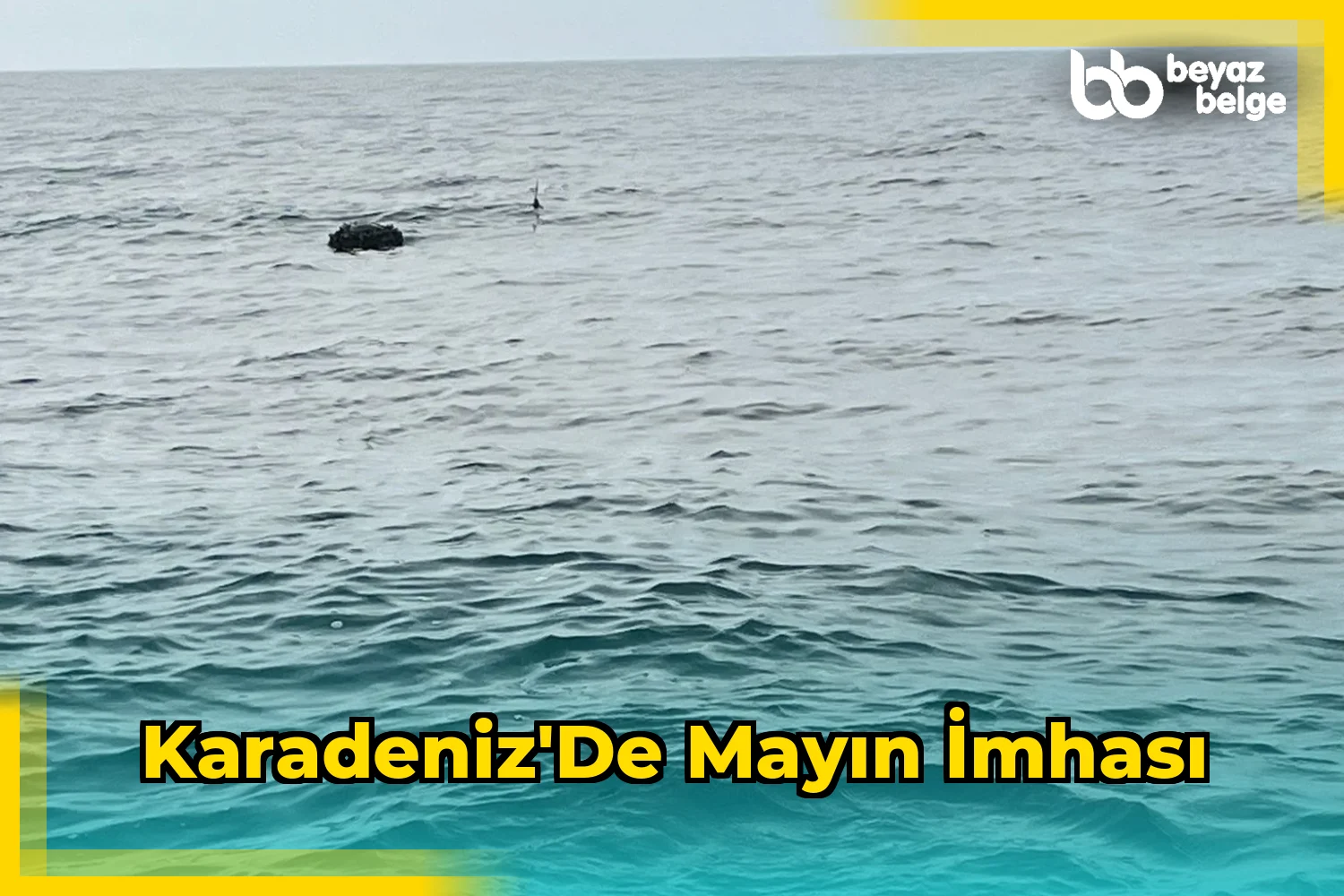 Karadeniz'de Mayın İmhası