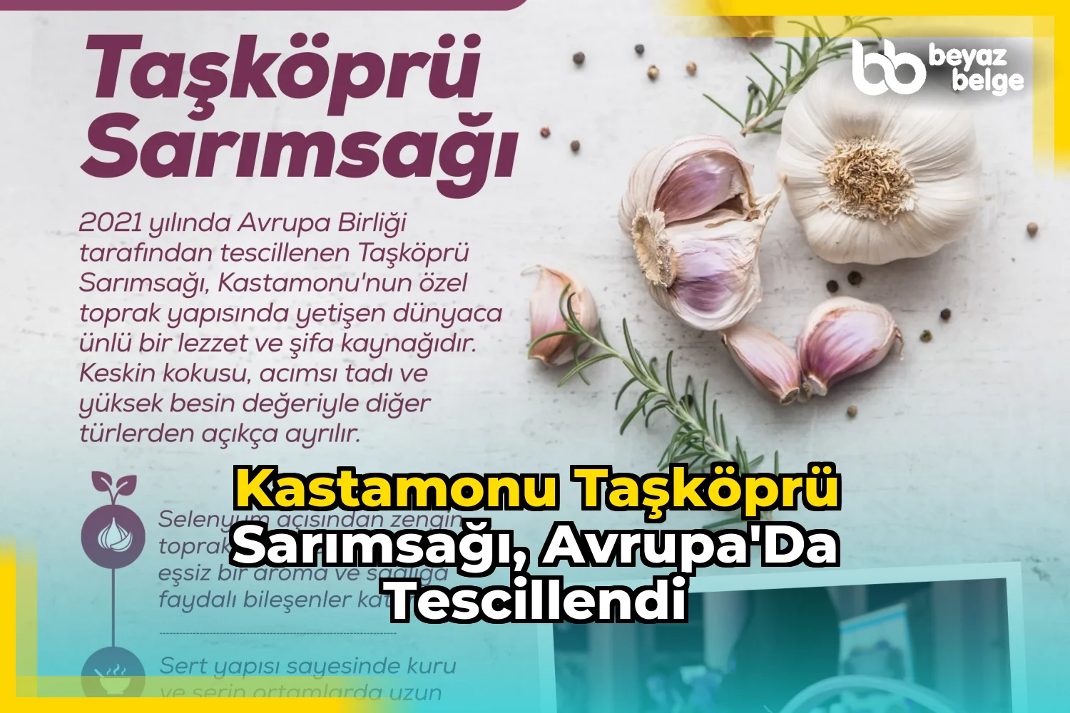 Kastamonu Taşköprü Sarımsağı, Avrupa'da Tescillendi