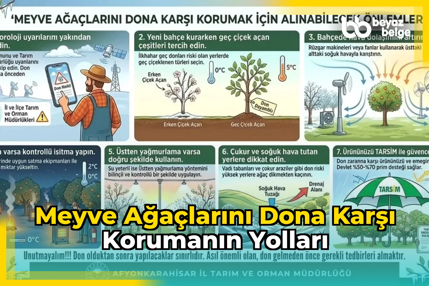 Meyve Ağaçlarını Dona Karşı Korumanın Yolları