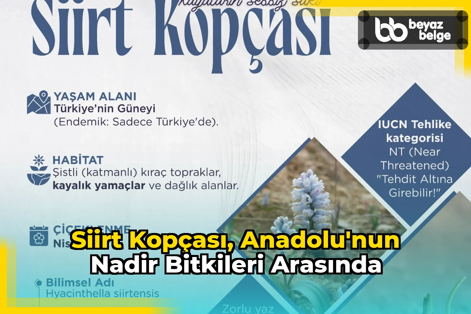 Siirt Kopçası, Anadolu'nun nadir bitkileri arasında