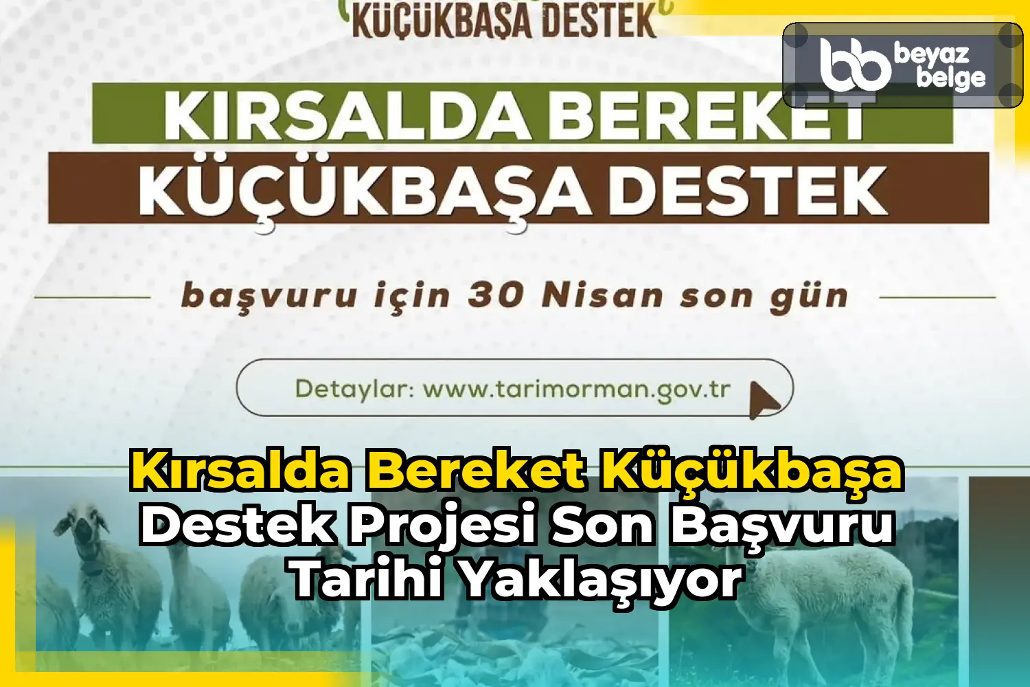 Kırsalda Bereket Küçükbaşa Destek Projesi Son Başvuru Tarihi Yaklaşıyor
