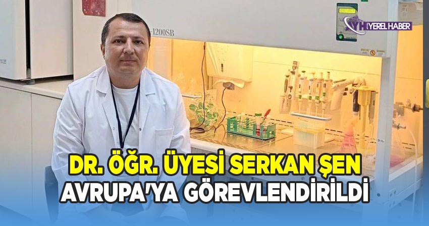 AFSÜ'nün Uluslararası Arşiv Görünürlüğü ve AB İş Birliği Kapasitesi