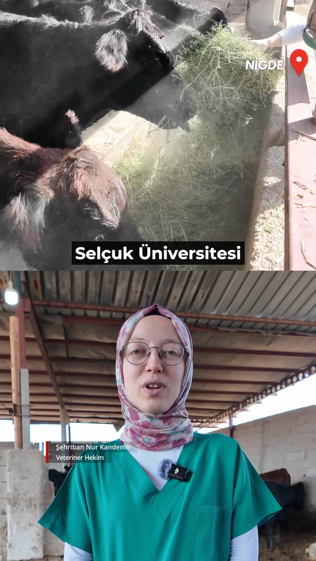 Genç ve Kadın Üreticilerden Büyük İlgi: Kırsalda Bereket, Hayvancılığa Destek Projesi