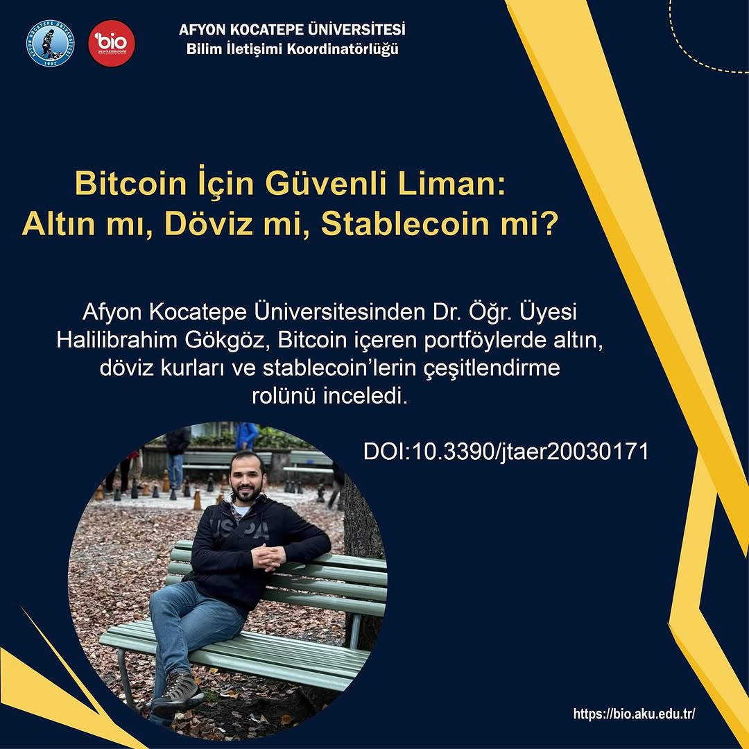 Bitcoin için Güvenli Liman: Altın mı, Döviz mi, Stablecoin mi?